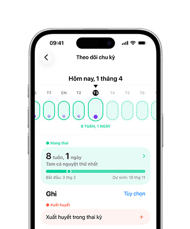 iPhone 16, mặt trước, giao diện người dùng hiển thị nội dung Sức Khỏe, Theo Dõi Chu Kỳ